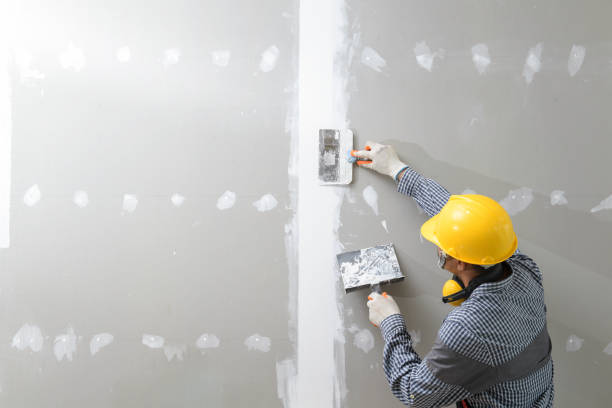 Best Mold Odor Removal Services  in Waggaman, LA
