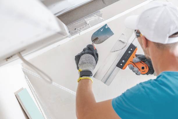 Best Water Damage & Mold Remediation  in Waggaman, LA